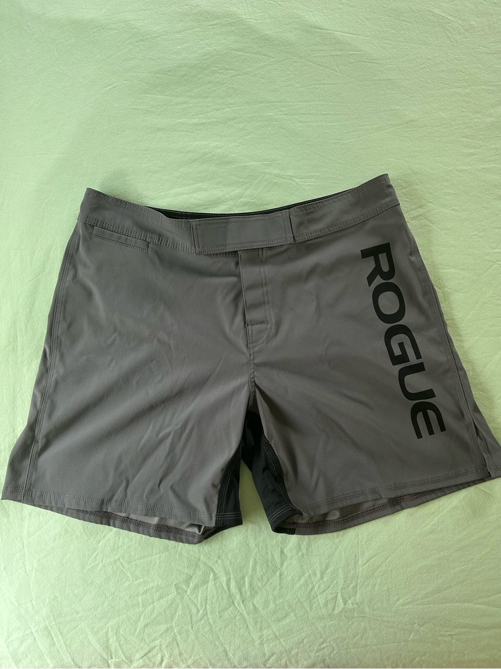 Rogue Fight shorts - 38